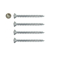 Schroevenset tbv SKG gekeurd bijzetslot - TORX - 4 x 40 mm (4 stuks)