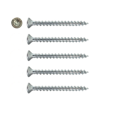 Schroe&shy;vens&shy;et tbv SKG ge&shy;keurd in&shy;steek&shy;slot - TORX - 4 x 40 mm (5 stuks)