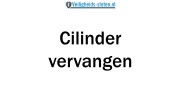 Nemef NF3+ cilinder met kerntrekbeveiliging (9x) - SKG***