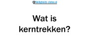 Nemef NF3+ cilinder met kerntrekbeveiliging (9x) - SKG***