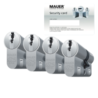 Mau&shy;er DT1+ ci&shy;lin&shy;der met kern&shy;trek&shy;be&shy;vei&shy;li&shy;ging (4x) - SKG***