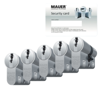 Mau&shy;er DT1+ ci&shy;lin&shy;der met kern&shy;trek&shy;be&shy;vei&shy;li&shy;ging (5x) - SKG***