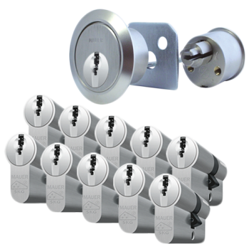 Ombouwset + 10 x Mauer DT1
